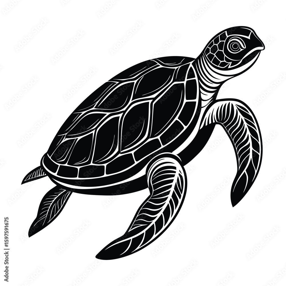 Fototapeta premium Vector illustration of a turtle swimming in the ocean