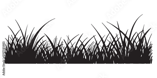 Silhouette of Grass Blades Creating a Natural Looking Border or Element