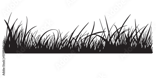 Black Silhouette of Grass Blades Growing Upwards from the Ground Level