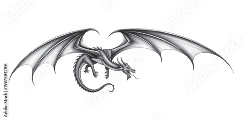 Majestic grayscale dragon with impressive wings and fierce gaze