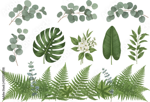 Collection of various green botanical leaves and foliage elements including eucalyptus monstera and fern for design