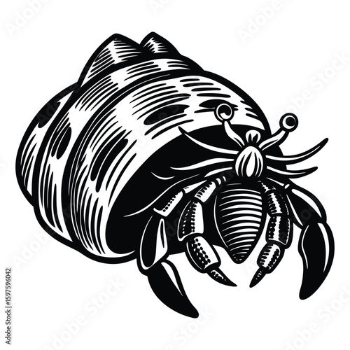 A striking vector illustration of a black and white scorpion