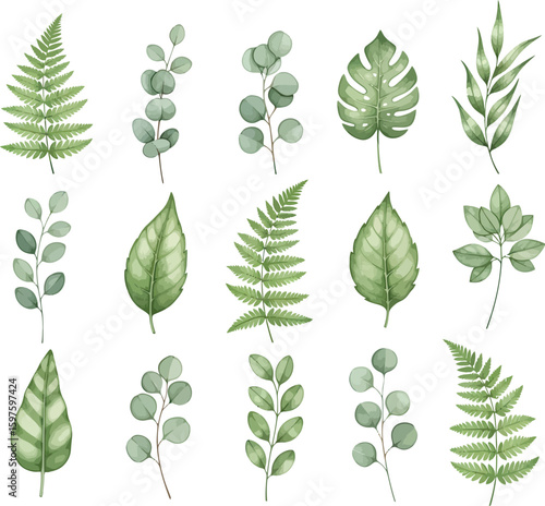 Collection of watercolor illustrations featuring various green leaves and fern fronds on a white background