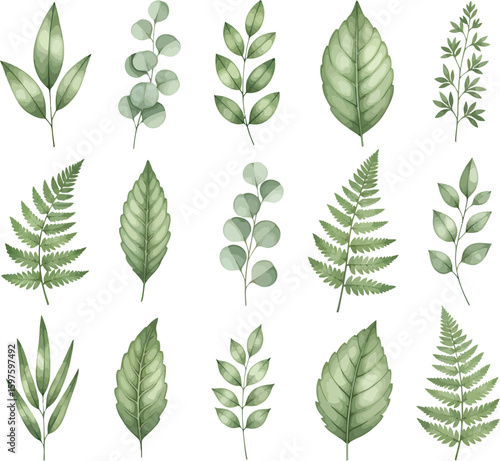 Collection of delicate watercolor illustrations of various green leaves and botanical elements on a white background