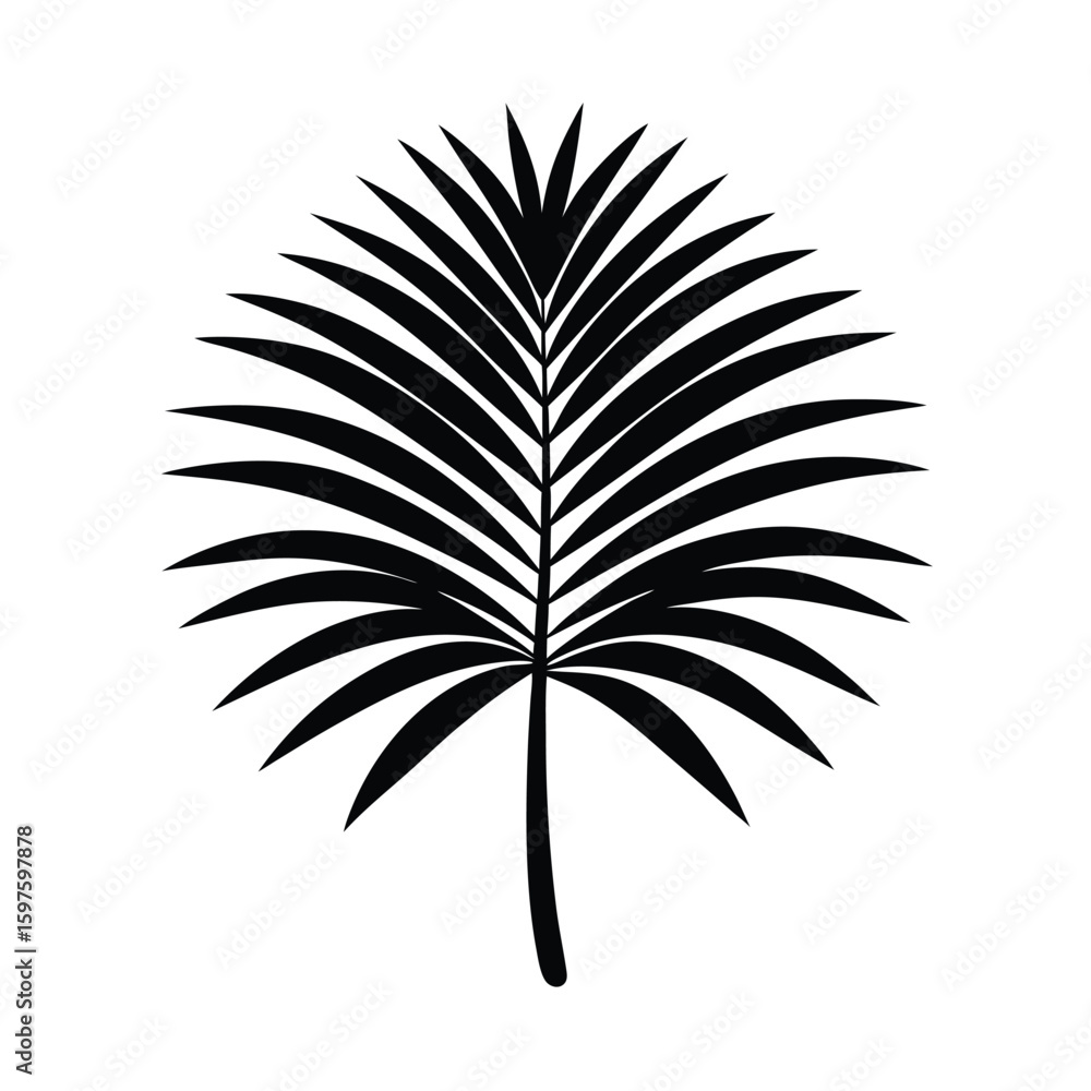 Fototapeta premium Fan-Shaped Palm Leaf Silhouette Vector Design