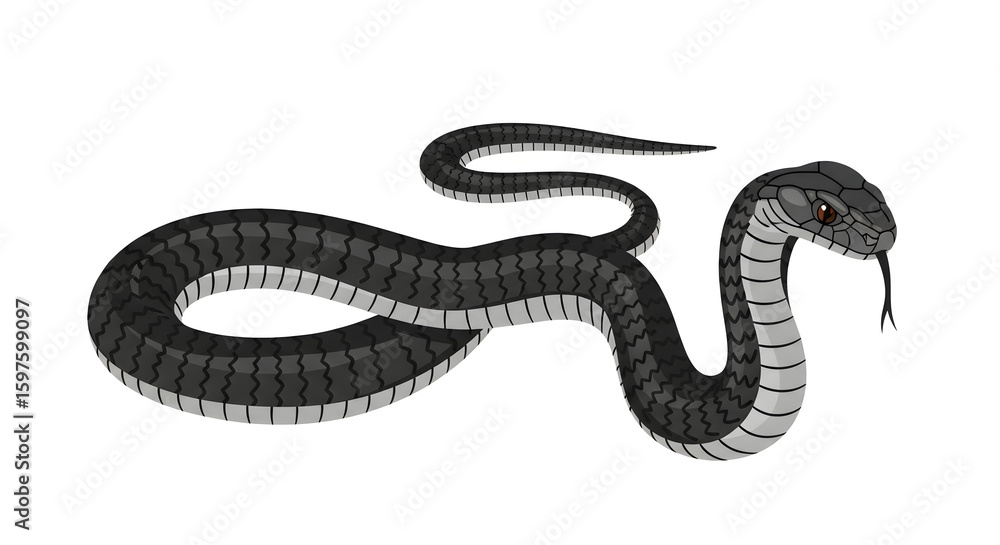 Fototapeta premium Black snake with gray stripes, serpent illustration, reptile, dangerous animal