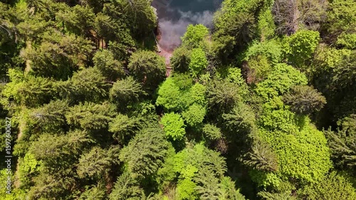 Bergsee im Wald - Pfanntalsteich bei Oberhof
