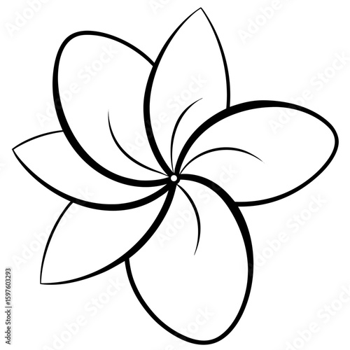 Exotic plumeria flower vector
