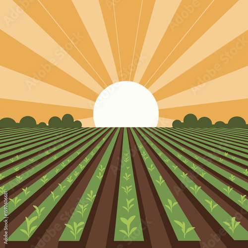 Sun shining over cultivated farm field with rows of crops, clean lines and earthy tones, modern agriculture theme, no gradients