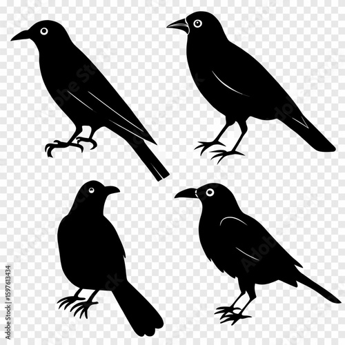 A beautiful vector illustration of bird silhouettes on a white background, featuring various species like sparrows, crows, and bullfinches on branches, perfect for nature and wildlife designs