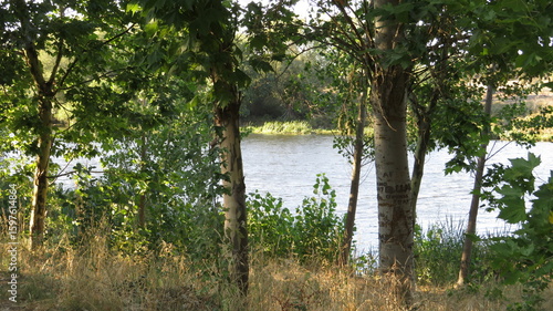 Foto Views, Park, Spain, River, Valladolid