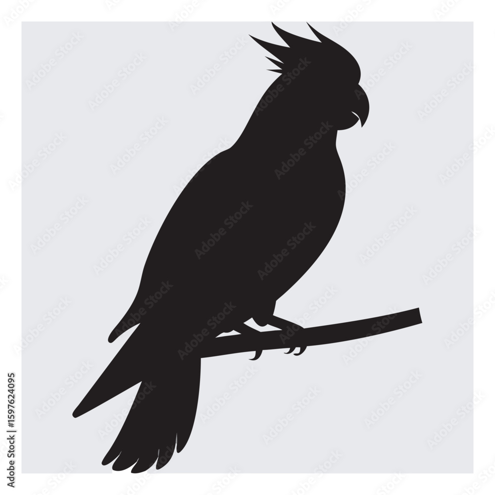 Fototapeta premium Flying Cockatiel Silhouette Vector – Parrot SVG Design
