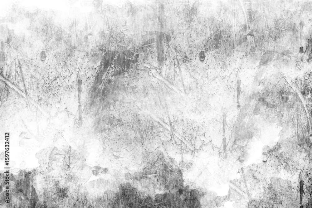 Fototapeta premium High Resolution Grunge Distressed Black and White Texture for Retro and Urban Design