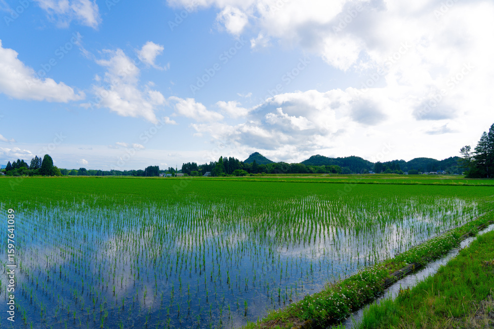 Obraz premium 田園風景