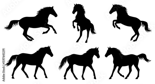 Horse silhouettes in various poses showing grace and agility with dynamic action and movement. Horse imagery represents freedom and strength,