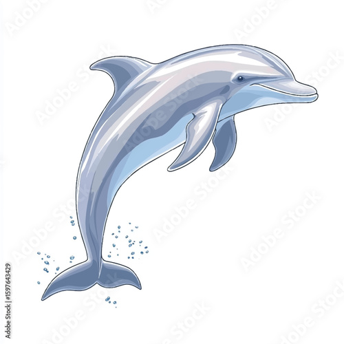 a dolphin jumping out of water