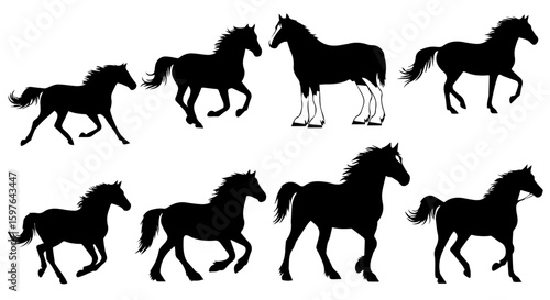 Silhouettes of horses in various poses demonstrating movement and grace. Horse silhouettes capture dynamic motion embodying spirit and energy.