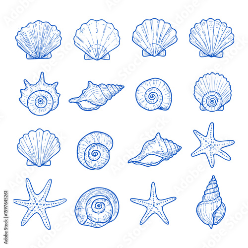 Collection of seashells and starfish vector illustration for summer beach ocean nautical designs and decor 