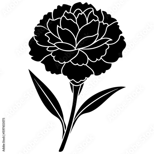 A stylized carnation flower