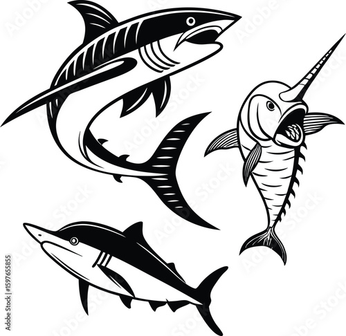 Set of stylized predatory fish – shark, swordfish, and tuna in black and white vector illustration