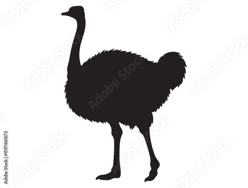 OSTRICH SILHOUETTE