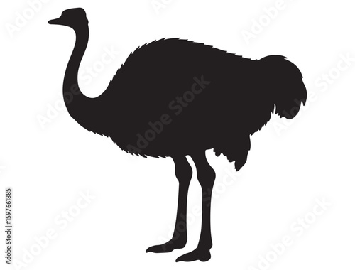 OSTRICH SILHOUETTE
