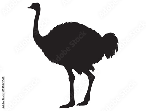 OSTRICH SILHOUETTE