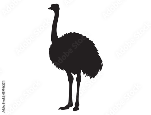 OSTRICH SILHOUETTE