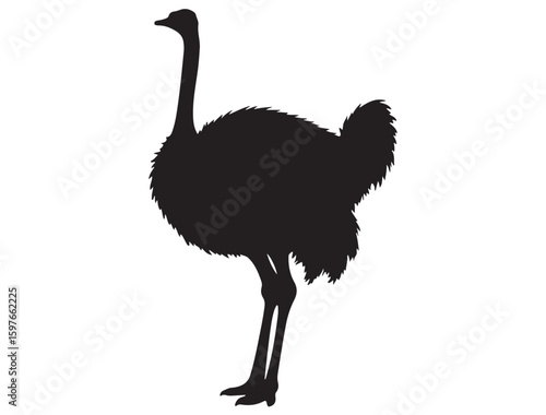 OSTRICH SILHOUETTE