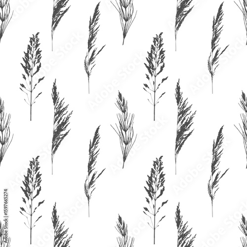 Pattern with cereal Meadow bluegrass, Calamagrostis acutiflora. Dark silhouettes of twig prints on white background.