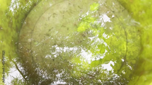 Problem of water pollution all over the world, stagnant water leading to contamination with parasites, virus, toxic microorganisms, pests, bacteria and microbes, old abandoned plastic bucket with