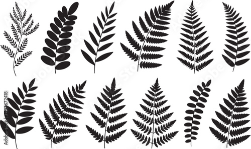 Black fern leaves and foliage silhouettes botanical