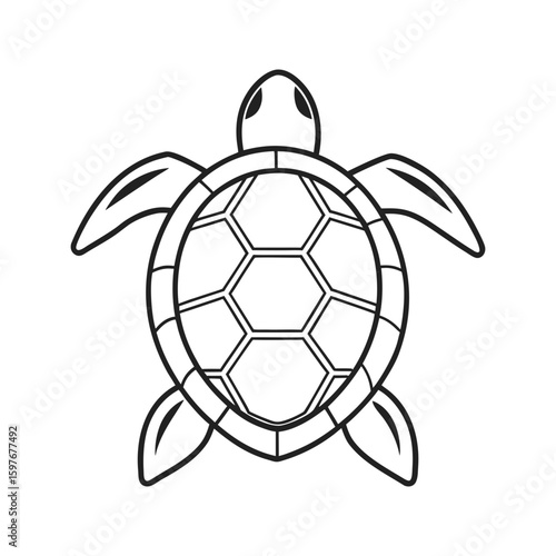 Top view turtle icon in clean outline style with flippers and shell segments vector illustration
