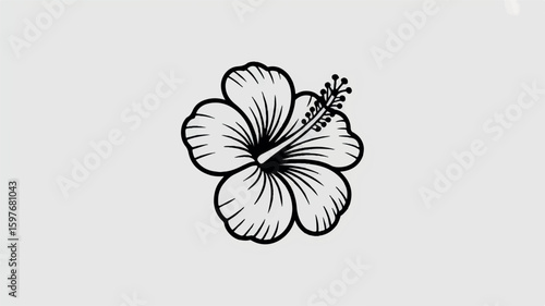 Clean black and white tropical hibiscus flower line art illustration
