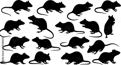 Rodent rat silhouette vector set
