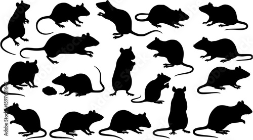 Rodent rat silhouette vector set
