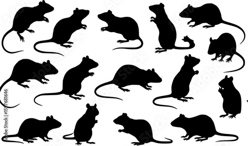 Rodent rat silhouette vector set

