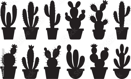 Various Potted Cacti Silhouettes cactus plant
