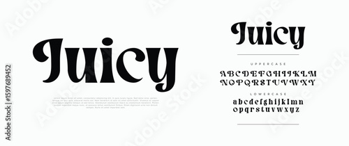 Juicy bold serif font logo. Modern elegant typography with uppercase and lowercase letters for fashion, branding, and editorial design. Vintage-inspired decorative typeface. Vector illustration.


