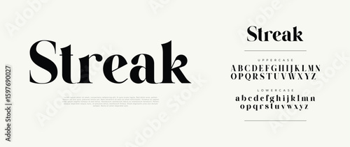Streak bold elegant serif font. Luxury modern typography with uppercase and lowercase letters. Perfect for branding, editorial, fashion, and logo design. Vector illustration.

