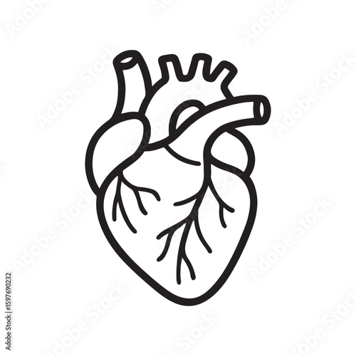 Anatomical Heart Outline Icon Vector on White Background