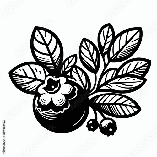 Blueberry. Cartoon Minimal Logo Clipart Silhouette Vector Line Art Illustration. Flavorful azure fruit a tiny round eatable delight for making dessert recipe.