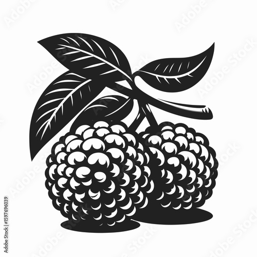 Lychee. Cartoon Minimal Logo Clipart Silhouette Vector Line Art Illustration. Tropical edible fruit learn flavor cultivation juice treat and market.