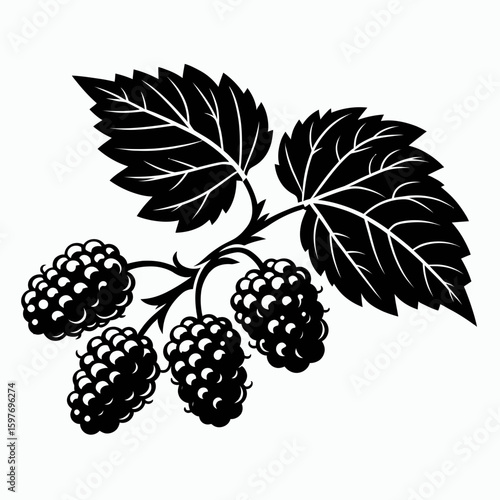 Mulberry. Cartoon Minimal Logo Clipart Silhouette Vector Line Art Illustration. Fruit tree cultivations gardening natural produce and healthy eating.