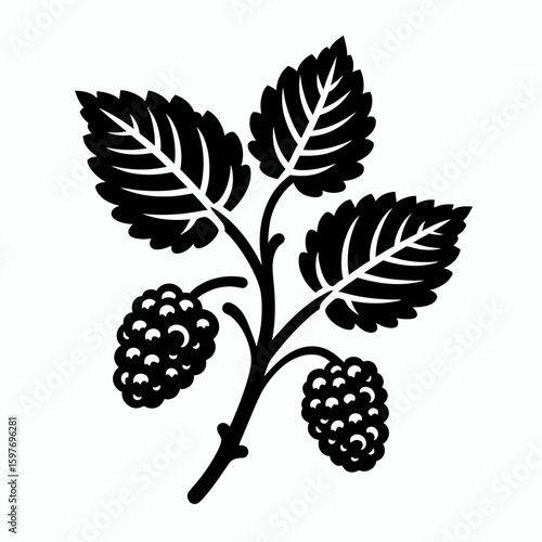Mulberry. Cartoon Minimal Logo Clipart Silhouette Vector Line Art Illustration. Fruiting shrub healthy fruit tree cultivation berry growth tasty agriculture.