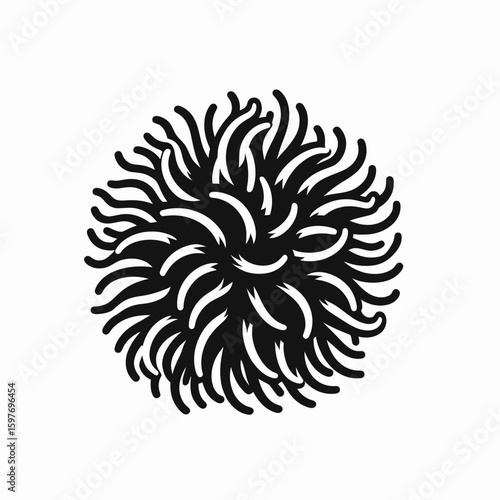 Rambutan. Cartoon Minimal Logo Clipart Silhouette Vector Line Art Illustration. Tropical hairy fruit description cultivation selling of this delicious treat.