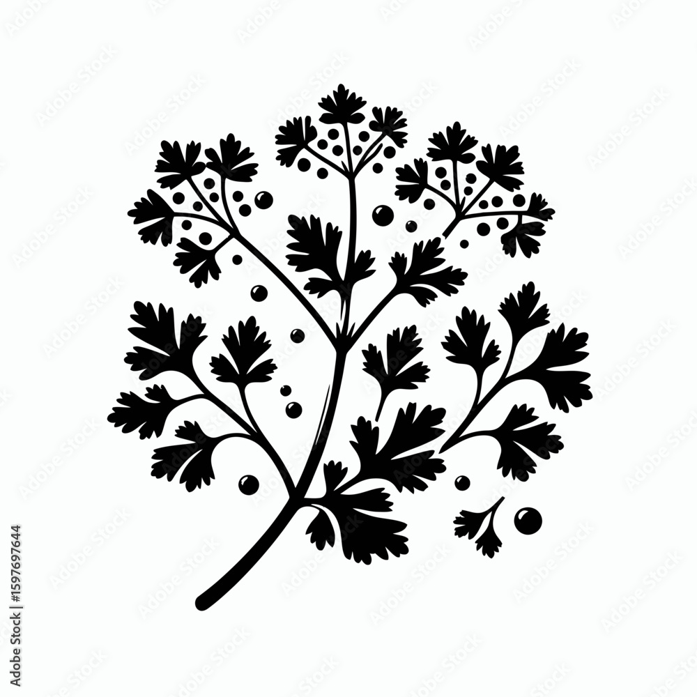 Naklejka premium Coriander. Cartoon Minimal Logo Clipart Silhouette Vector Line Art Illustration. Cilantro culinary herb cooking ingredient flavoring spice kitchen aroma botanical flavor.