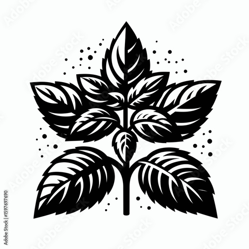 Basil. Cartoon Minimal Logo Clipart Silhouette Vector Line Art Illustration. Fresh culinary herb a fragrant flavoring agent for recipes and cooking use.