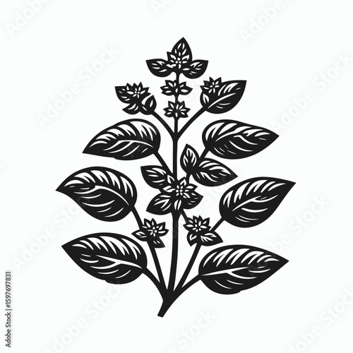 Oregano. Cartoon Minimal Logo Clipart Silhouette Vector Line Art Illustration. Cooking herb flavoring with pungent flavor leaf and aroma addition for meals.