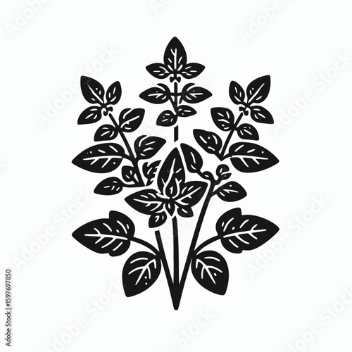 Oregano. Cartoon Minimal Logo Clipart Silhouette Vector Line Art Illustration. Culinary herb seasoning pungent flavor aromatic plant cooking ingredient.
